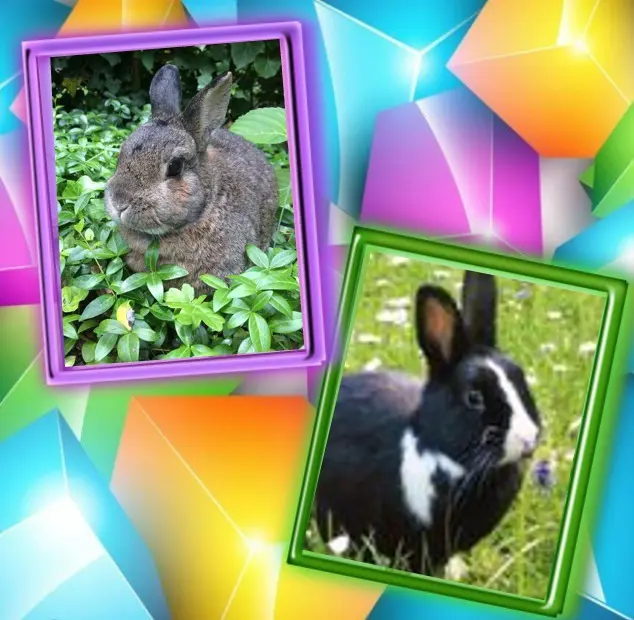 Andachtsbild von ❤️❤️❤️