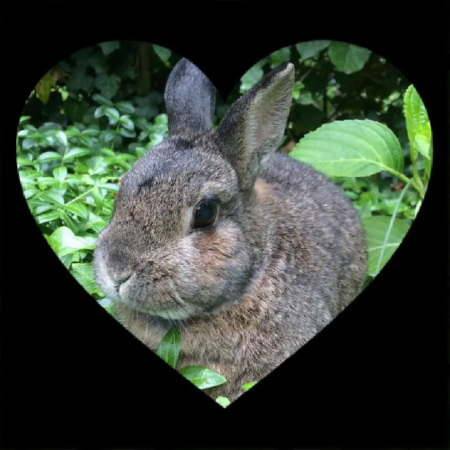 Andachtsbild von Jutta mit Purzel tief im Herzen ✟ 08.05.2016