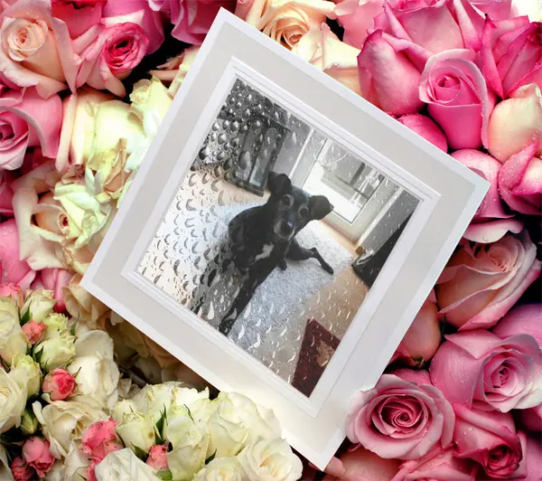 Andachtsbild von Unbekannt