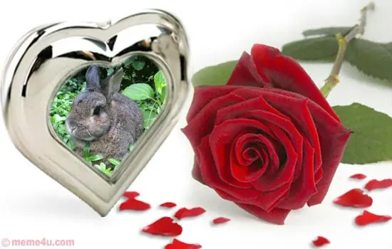 Andachtsbild von ❤️❤️❤️