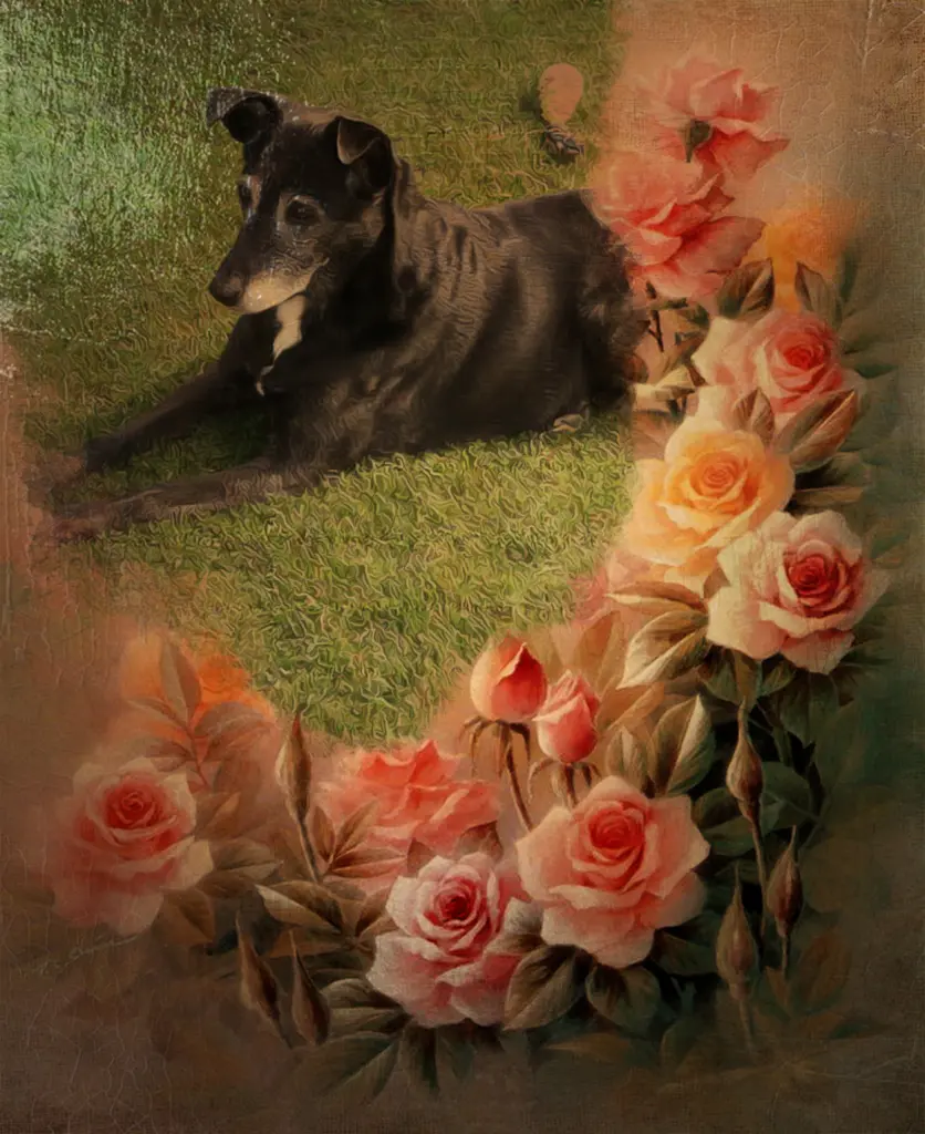 Andachtsbild von Unbekannt