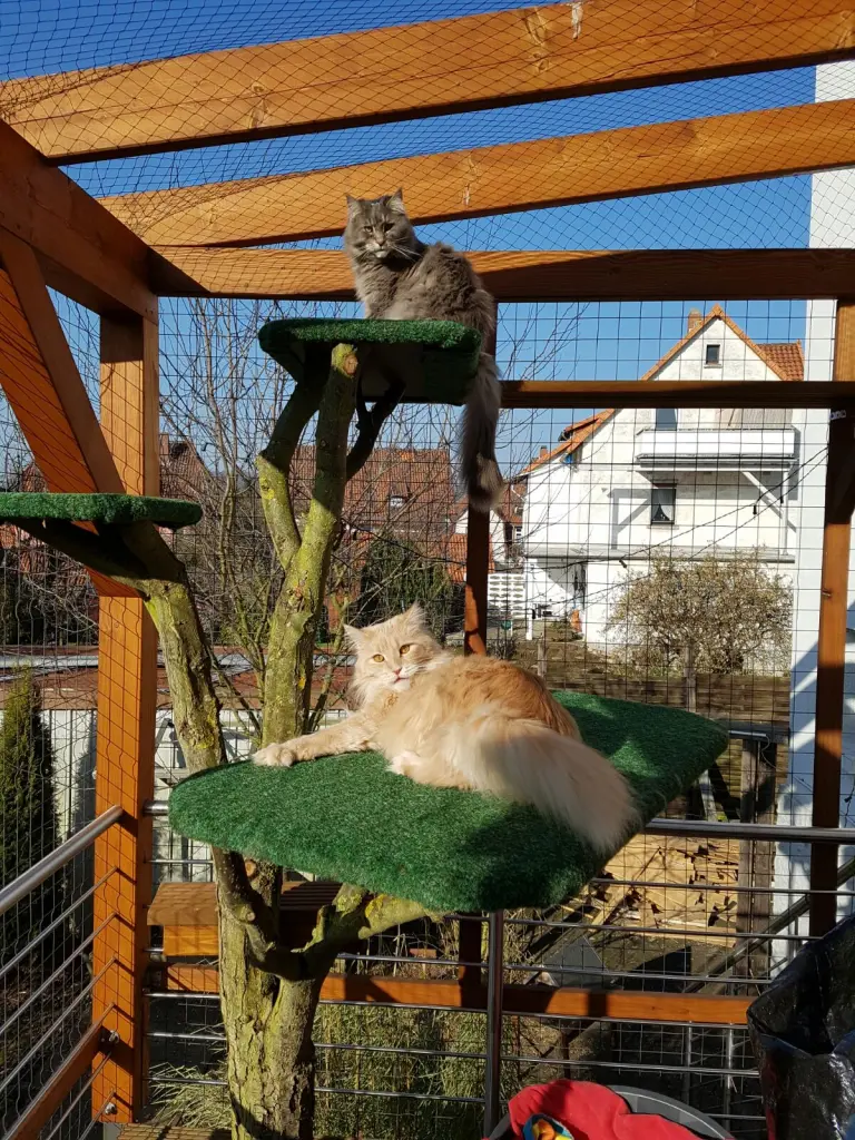 Andachtsbild von Brigitta