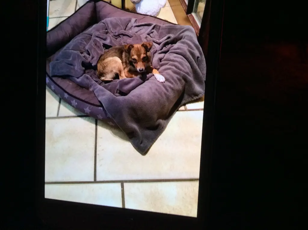 Andachtsbild von Heidi