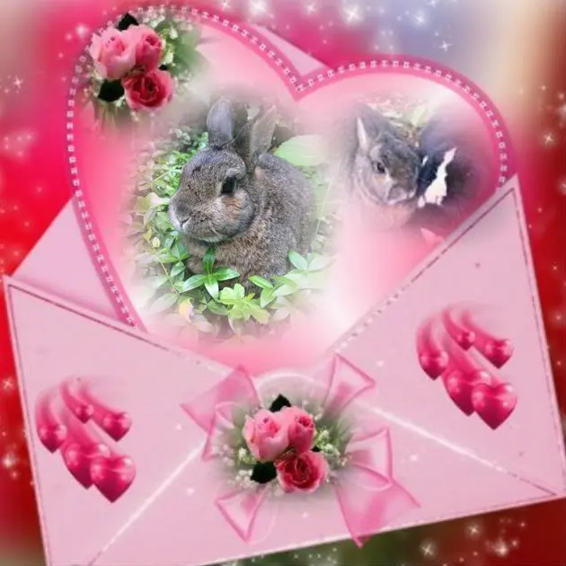 Andachtsbild von ❤️❤️❤️