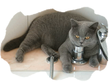 Andachtsbild von Hans u. Sibylle mit Momo † 13.11.2017