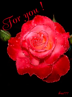 Andachtsbild von Michaela mit Nicko und Ariane ganz tief im ❤