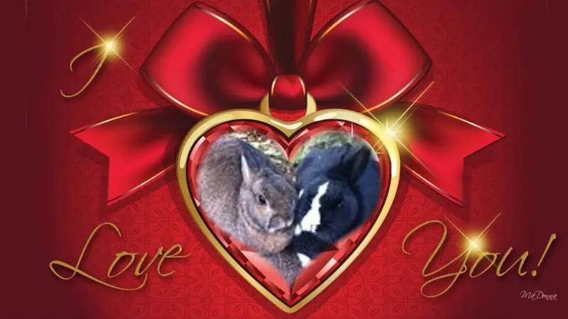 Andachtsbild von ❤️❤️❤️