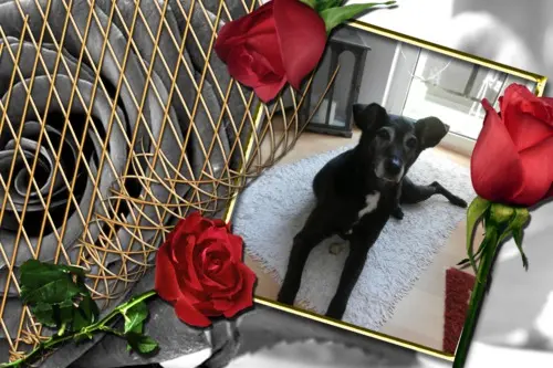 Andachtsbild von Unbekannt