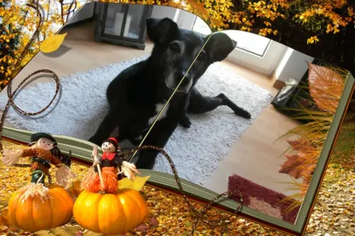 Andachtsbild von Unbekannt