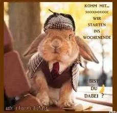 Andachtsbild von Brigitte mit Nelly, Benny und Axel im Herzen