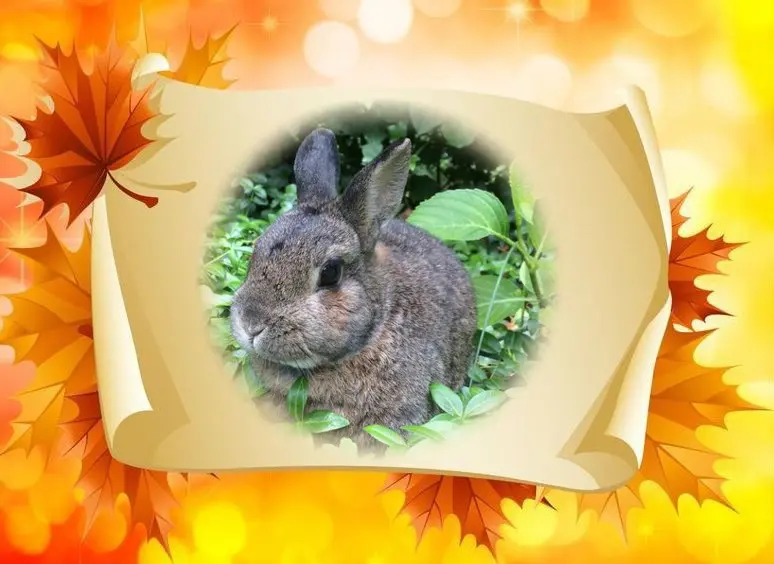 Andachtsbild von ❤️❤️❤️