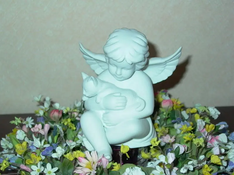 Andachtsbild von Hans u. Sibylle mit Momo † 13.11.2017