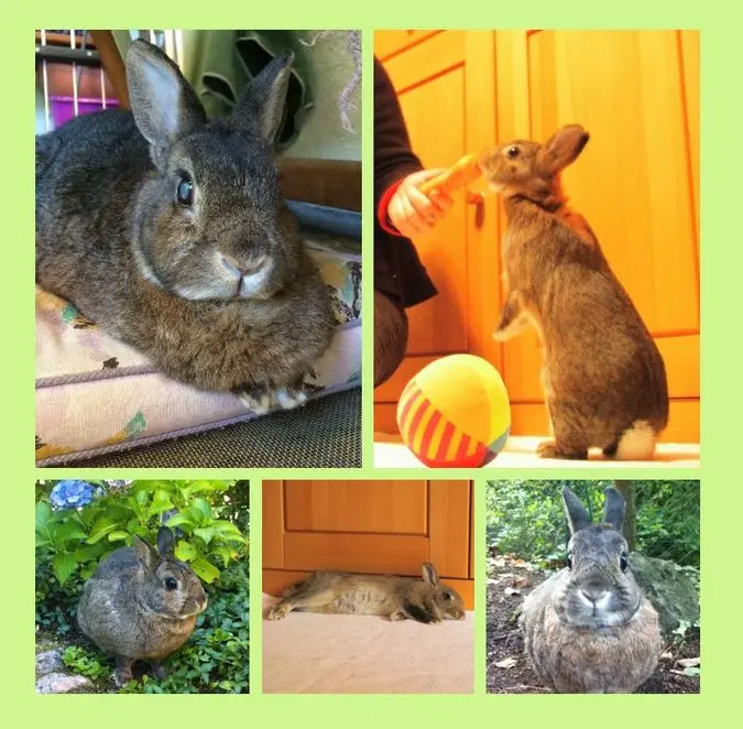 Andachtsbild von 14 Monate