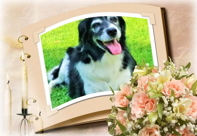 Andachtsbild von Nelly aus dem Regenbogenland