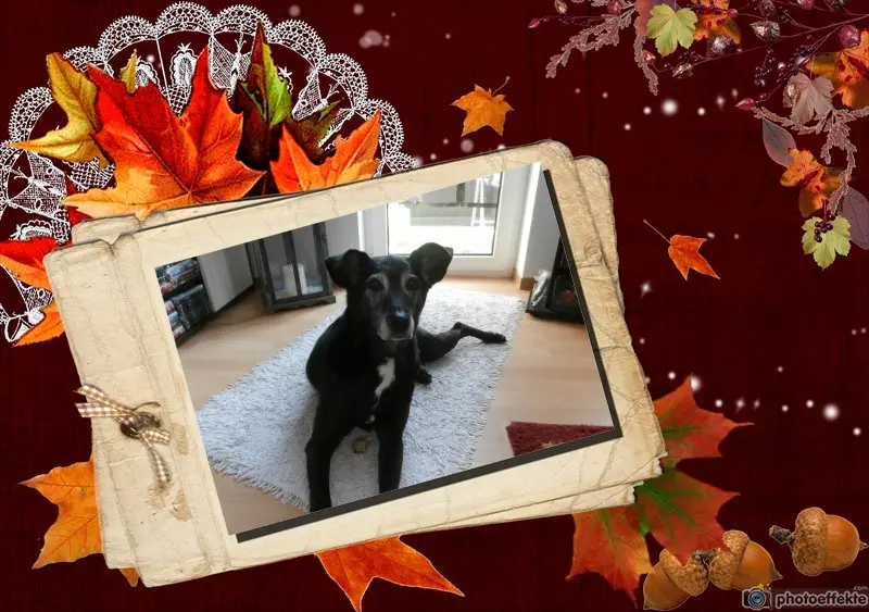 Andachtsbild von Unbekannt