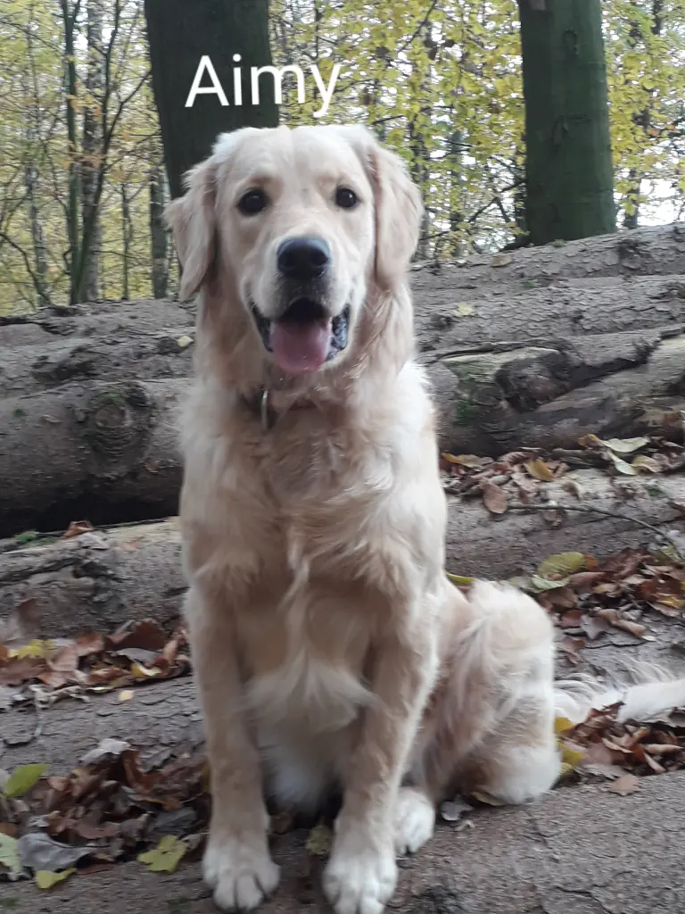 Andachtsbild von Unbekannt