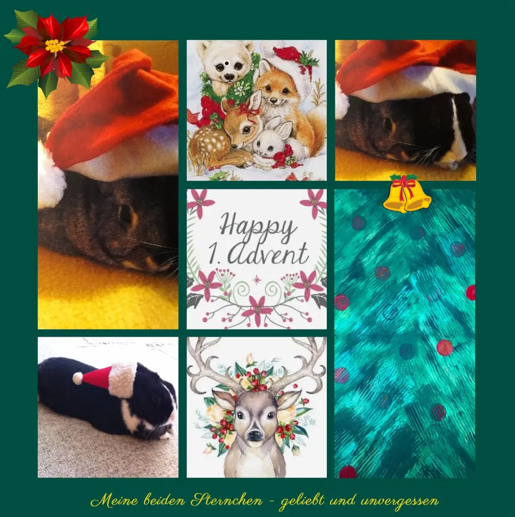 Andachtsbild von Küsse zum Advent