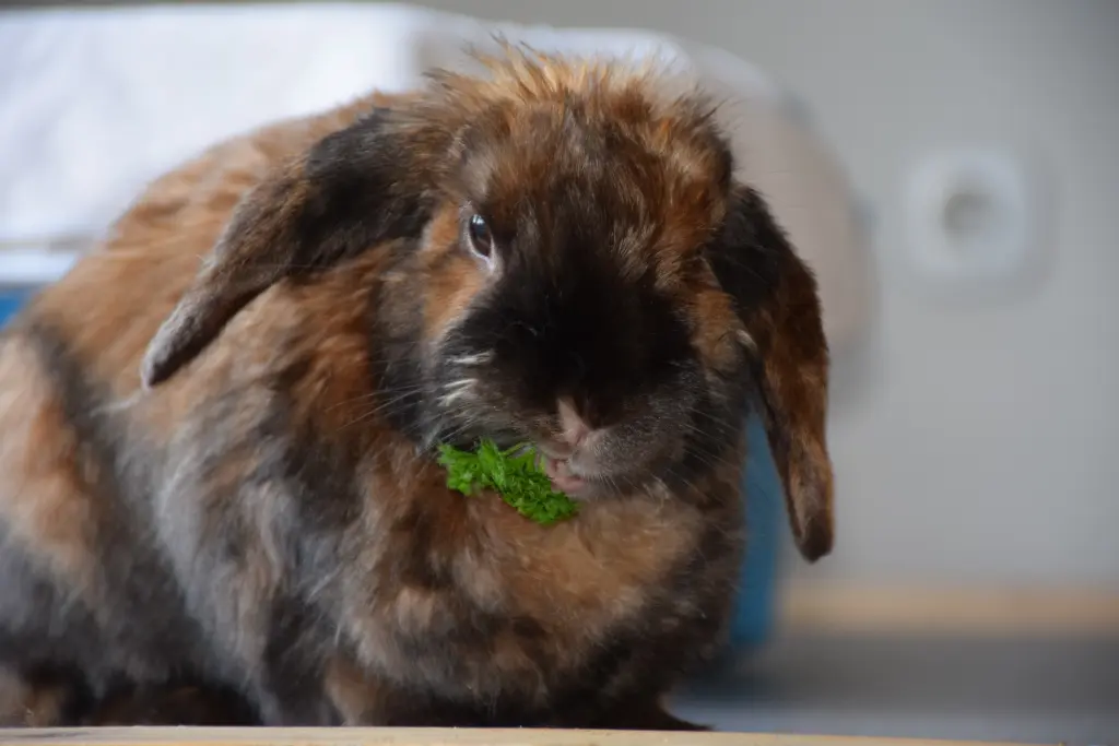 Andachtsbild von Uwe & Nadja
