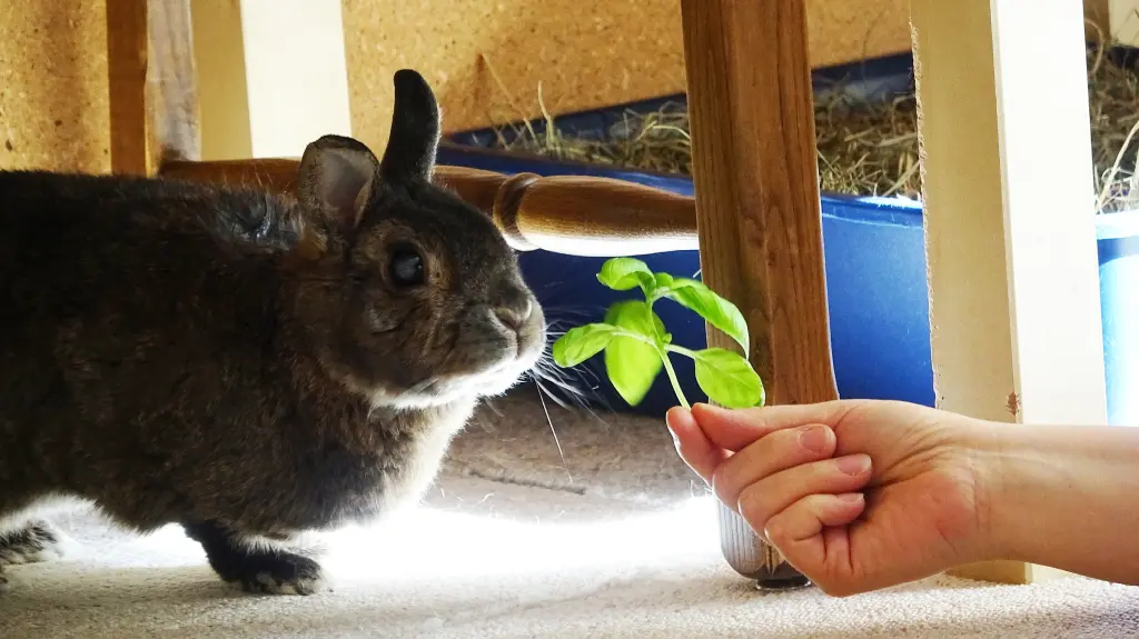 Andachtsbild von ❤️ 16 Monate ❤️