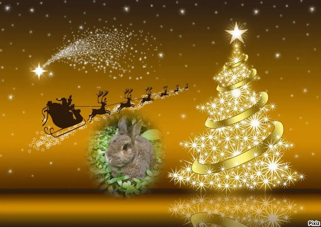 Andachtsbild von Jutta und Axel mit Purzel tief im Herzen ✟ 08.05.2016