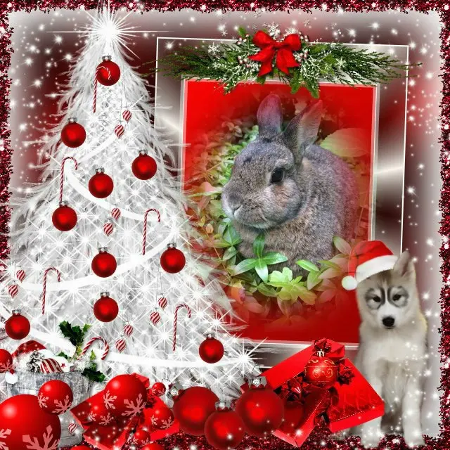 Andachtsbild von ❤️❤️❤️