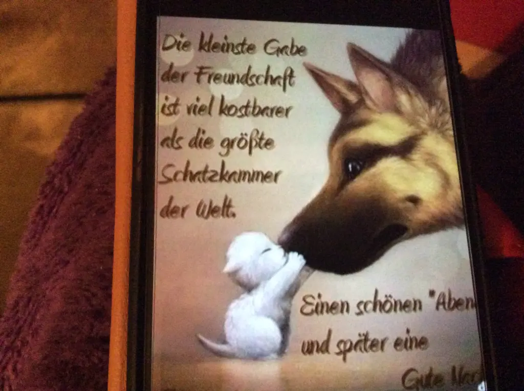 Andachtsbild von Heidi