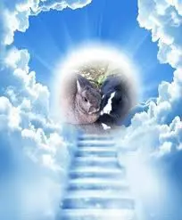 Andachtsbild von ❤️❤️❤️