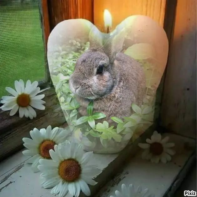 Andachtsbild von ❤️❤️❤️