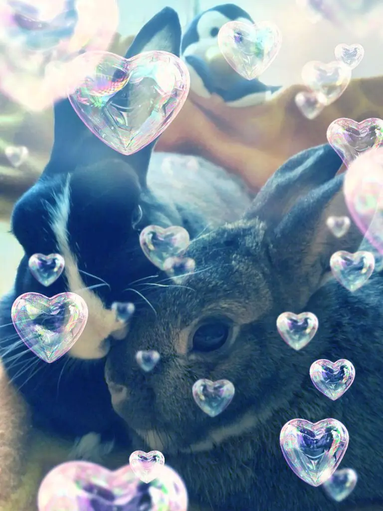 Andachtsbild von Ellen mit Lina ♥️