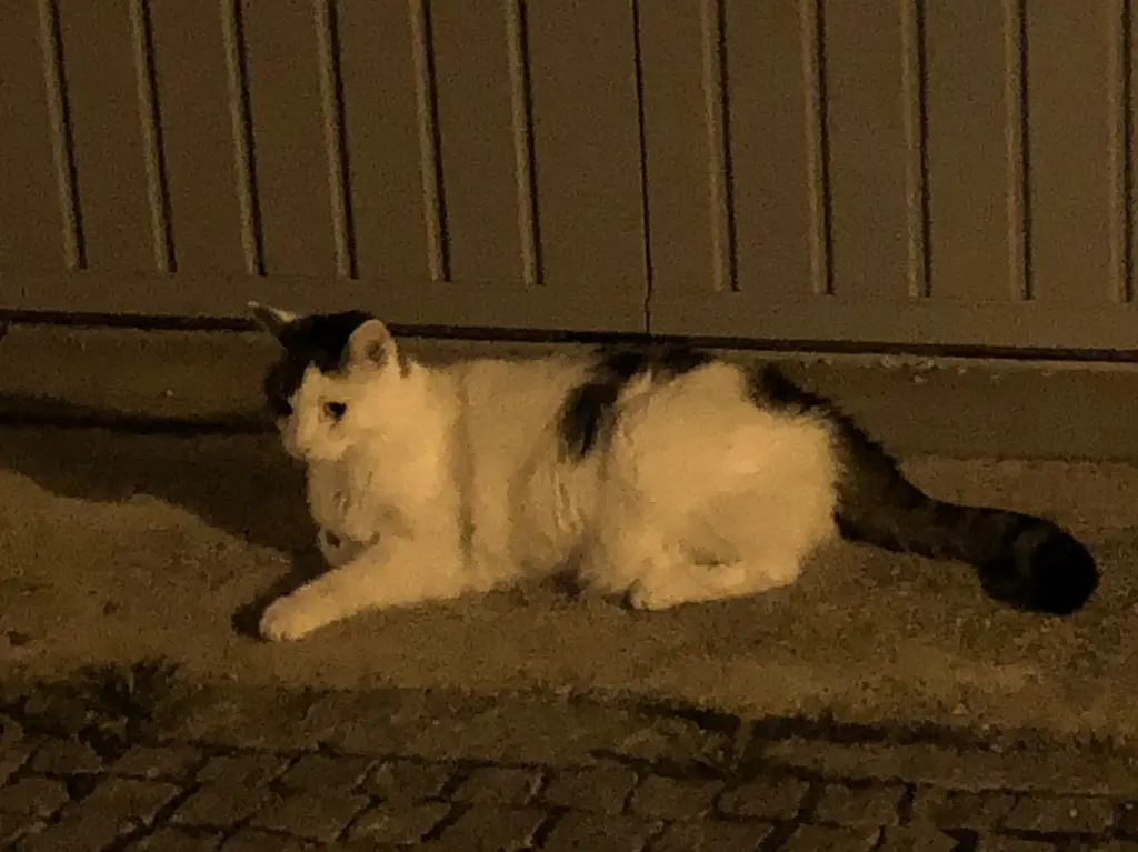 Andachtsbild von Susanne mit Cedric im Herzen