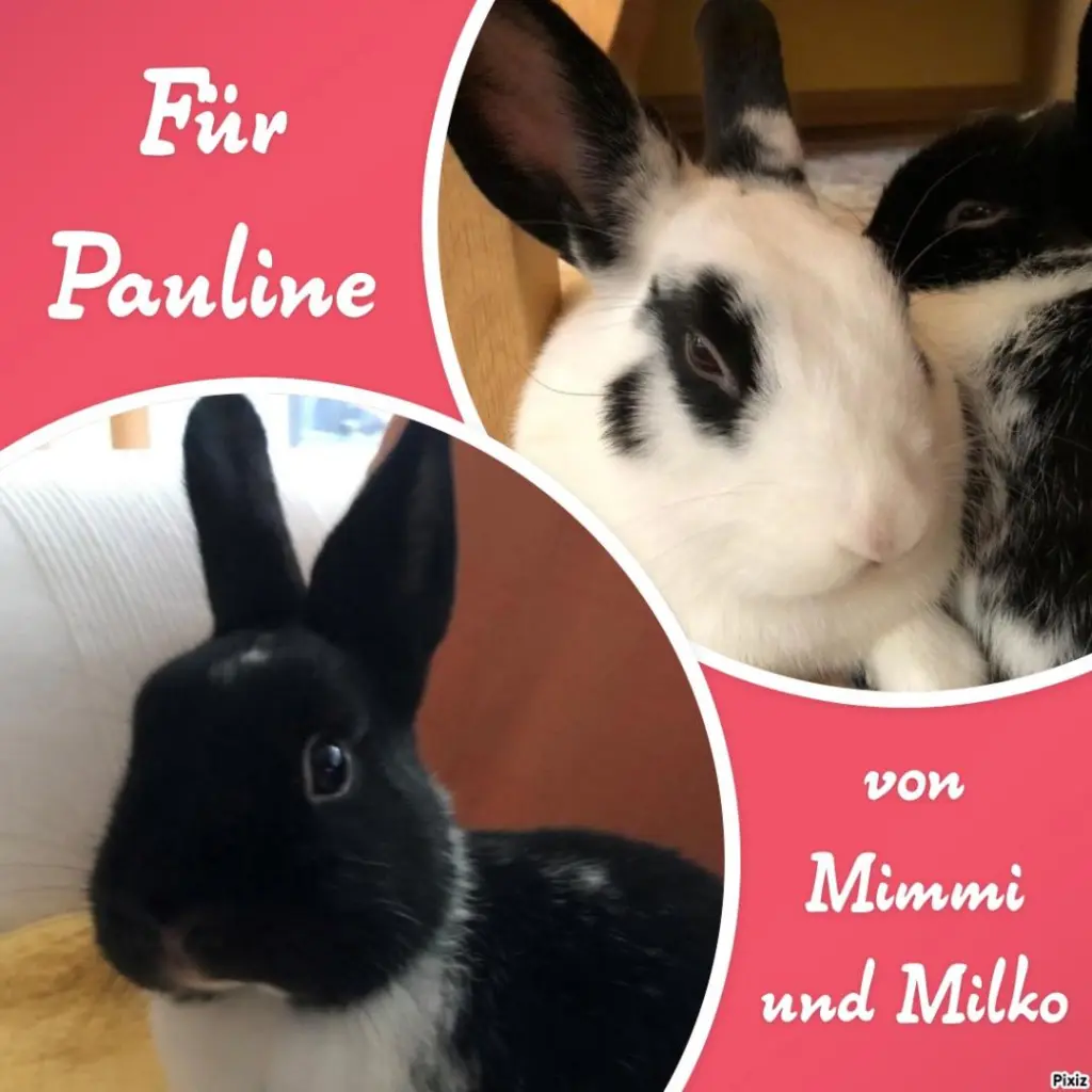 Andachtsbild von den Mimmilkovics