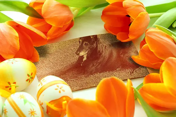 Andachtsbild von Unbekannt