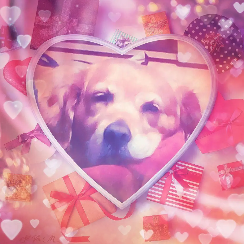 Andachtsbild von Ellen mit Lina ♥️