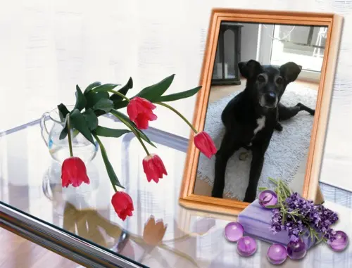 Andachtsbild von Unbekannt