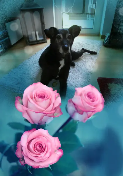 Andachtsbild von Unbekannt