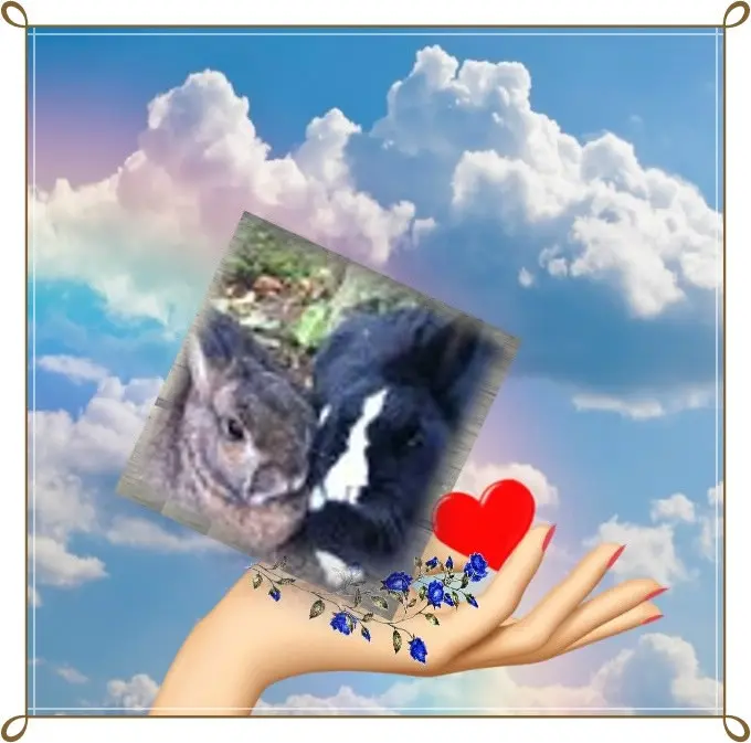 Andachtsbild von ❤️❤️❤️