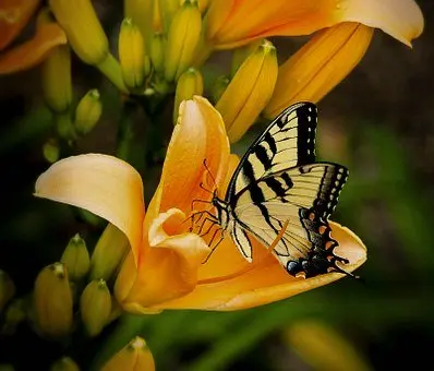 Andachtsbild von Ellen mit Lina ♥️