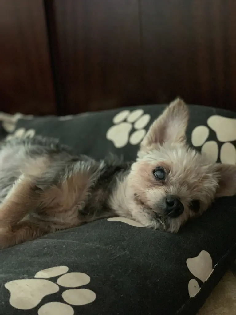 Andachtsbild von Heidi