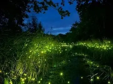 Andachtsbild von Marika mit Balou und Hippo im Herzen