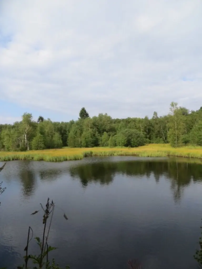 Andachtsbild von Merlin, Regenbogenland