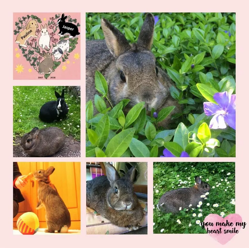 Andachtsbild von 100 Wochen - 700 Tage