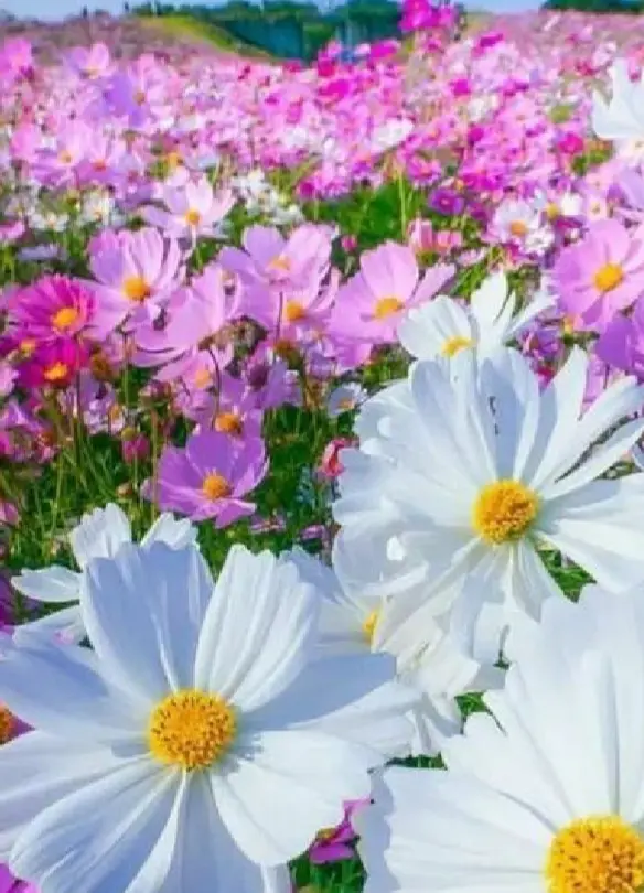 Andachtsbild von Unbekannt