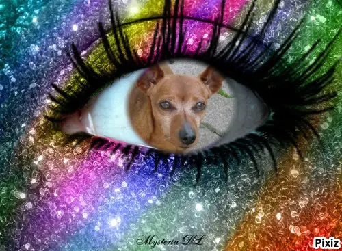 Andachtsbild von Post von Purzel