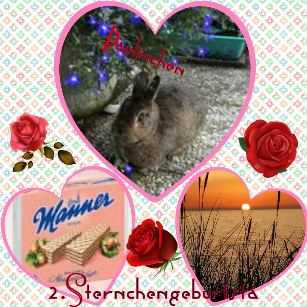 Andachtsbild von Eike und Edeltraud mit Mulle, Miezi, Jonny, Felix, Lemmi und Tommi tief im Herzen ❤❤❤❤❤❤