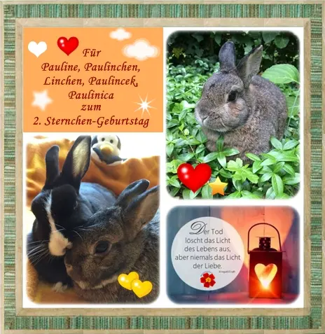 Andachtsbild von Ilse mit ihren geliebten Sternlein im Herzen