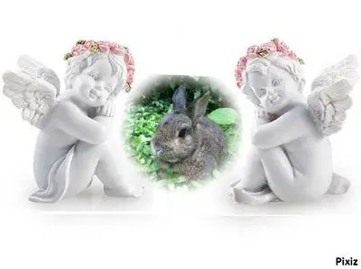 Andachtsbild von Rosen für das geliebte und unvergessene Sternchen Pauline