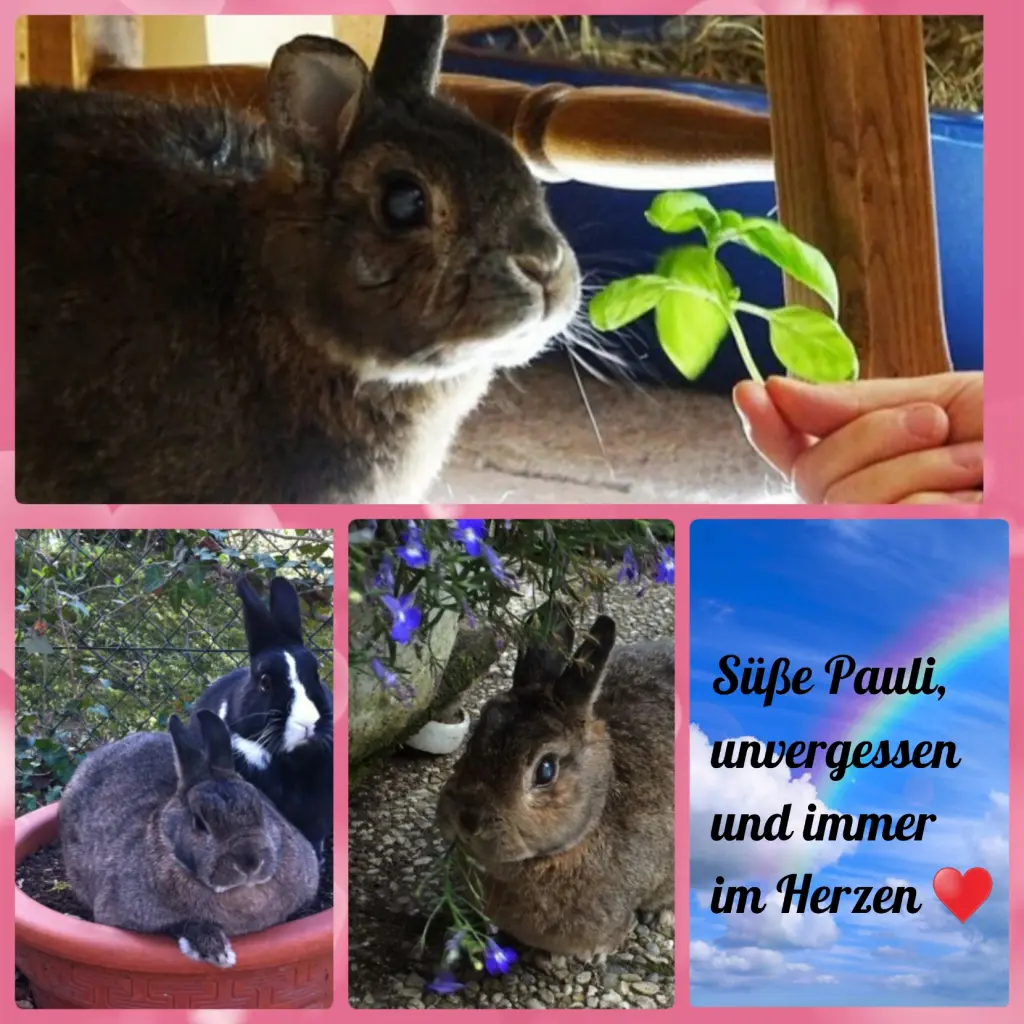 Andachtsbild von Ellen mit Lina ♥️