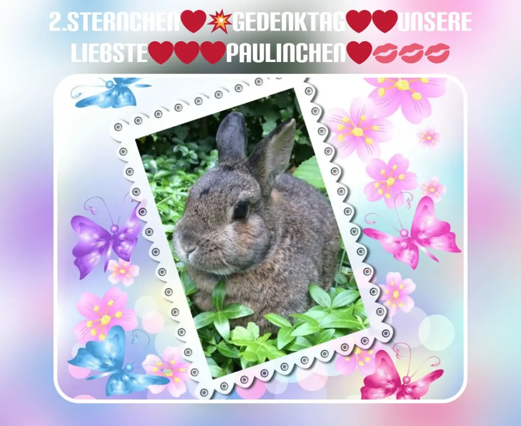 Andachtsbild von 2.Sternchen❤️❤️Gedenktag❤️
