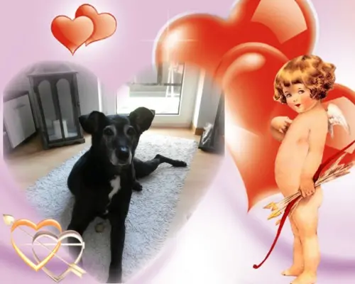 Andachtsbild von Unbekannt