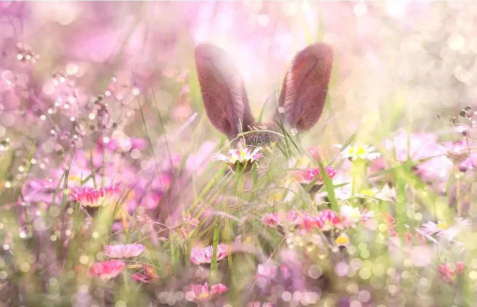 Andachtsbild von Marika mit Balou und Hippo im Herzen